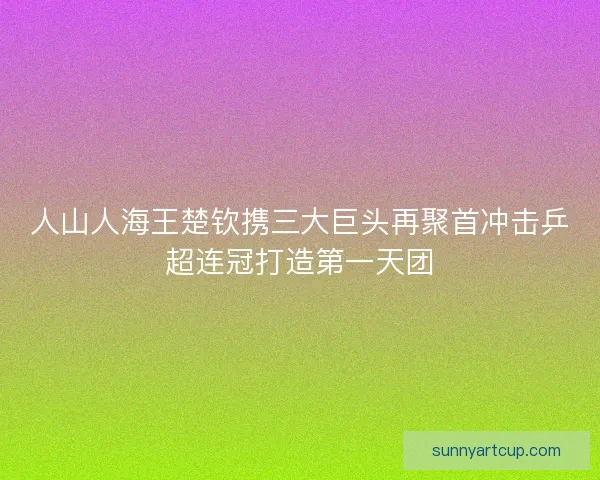人山人海王楚钦携三大巨头再聚首冲击乒超连冠打造第一天团