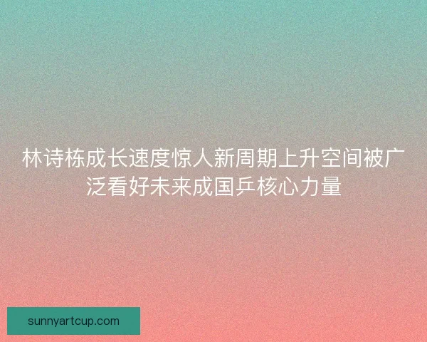 林诗栋成长速度惊人新周期上升空间被广泛看好未来成国乒核心力量